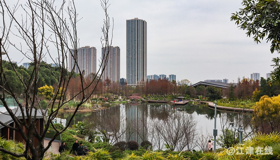 智慧公园 (8).jpg