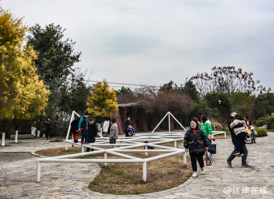 智慧公园 (9).jpg