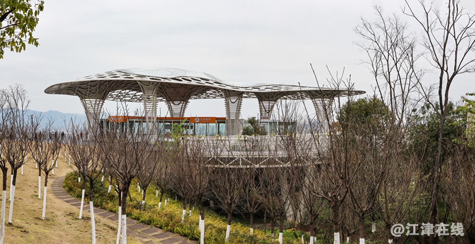 智慧公园 (16).jpg