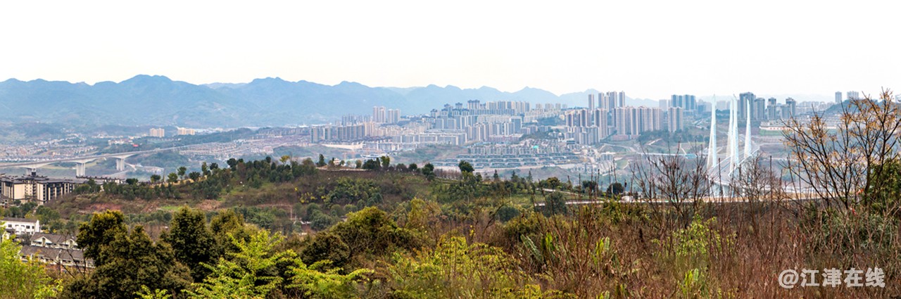 智慧公园 (18).jpg