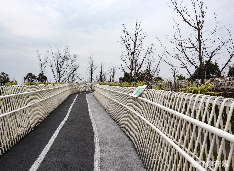 智慧公园 (19).jpg