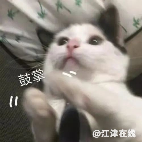 568b61a8f98328da7d4548734f1c7779.jpg