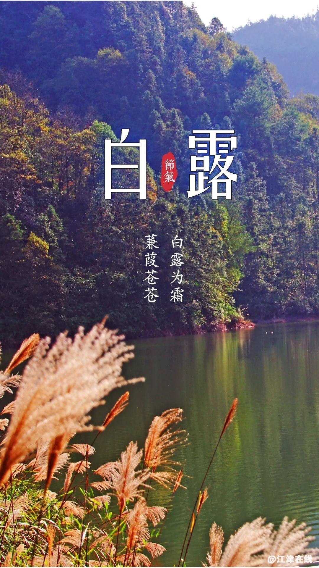 bd334f75f21caed1eac85a1343e08422.jpg