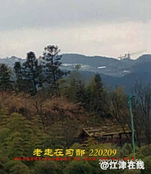 220450vvjql65jh56tj5ly.jpg.thumb.jpg