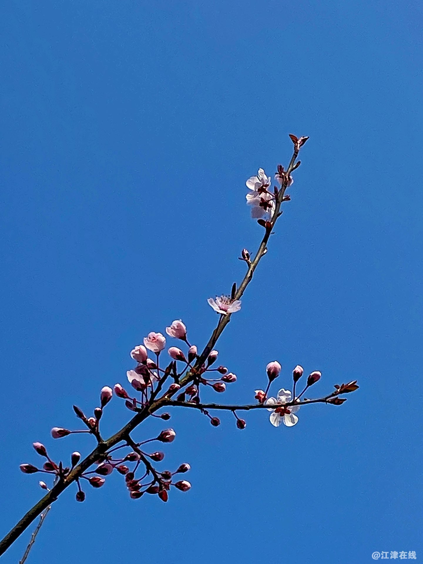 20220307125800front1_0_35589_FqYkqcazQiiSq_R7MWERy2fIcKR2.jpg