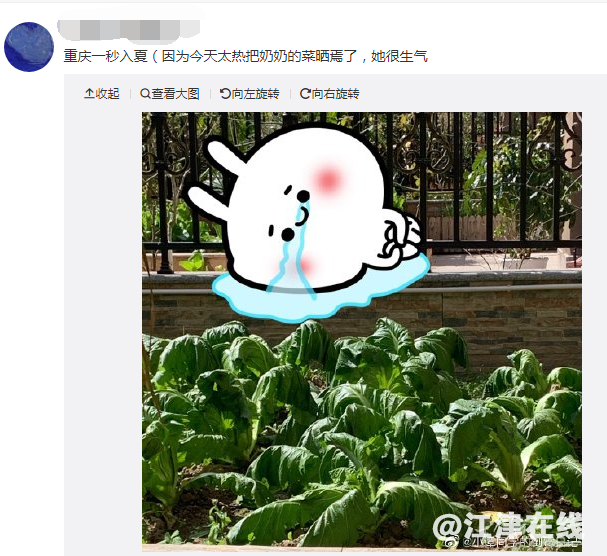 a4e214a7eea888c5b8f8cc781de605fb.png