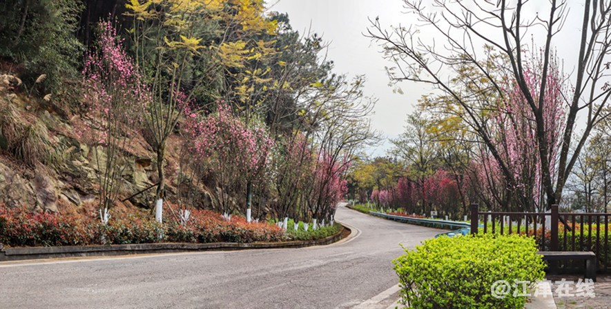 桃花道 (7).jpg