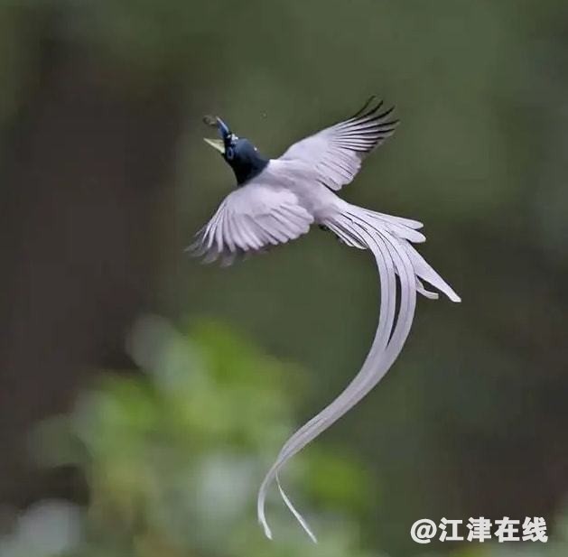?url=http%3A%2F%2Fdingyue.ws.126.net%2F2022%2F0406%2F7c6ee275j00r9wveo0012c000hh00h5g.jpg