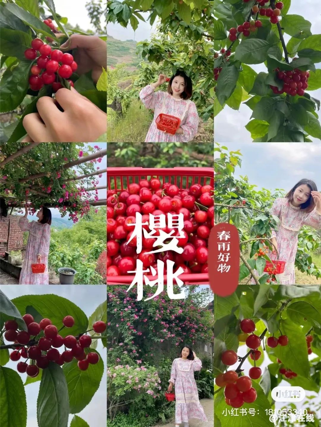 4b3cbd9e5bd1c98e76ef89c7574696b3.jpg