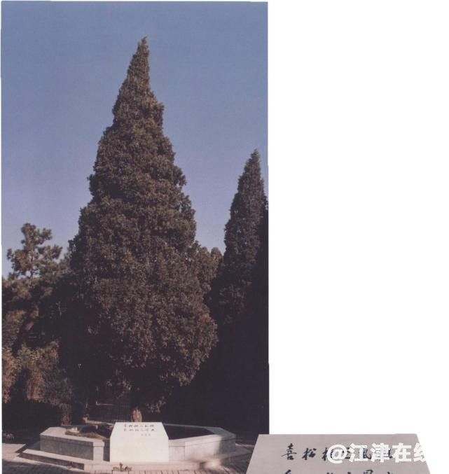 641.jpg