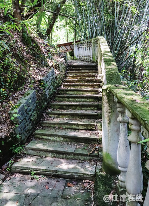 生态园 (8).jpg