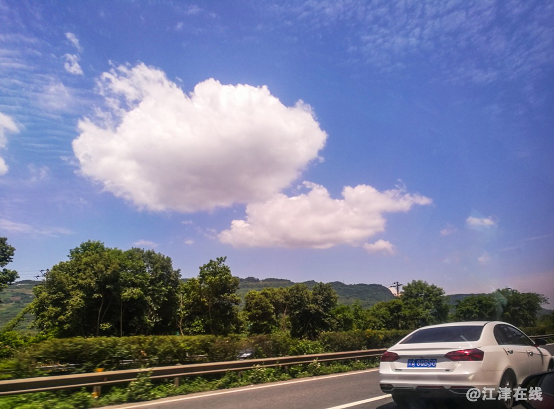 生态园 (16).jpg