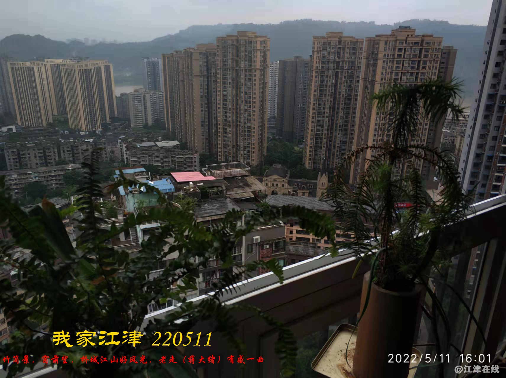 JYZ 220511 WBQ (6).jpg