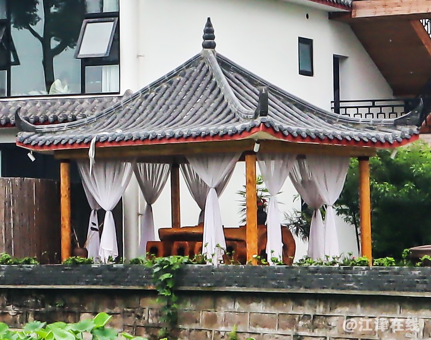 根雕 (1).jpg