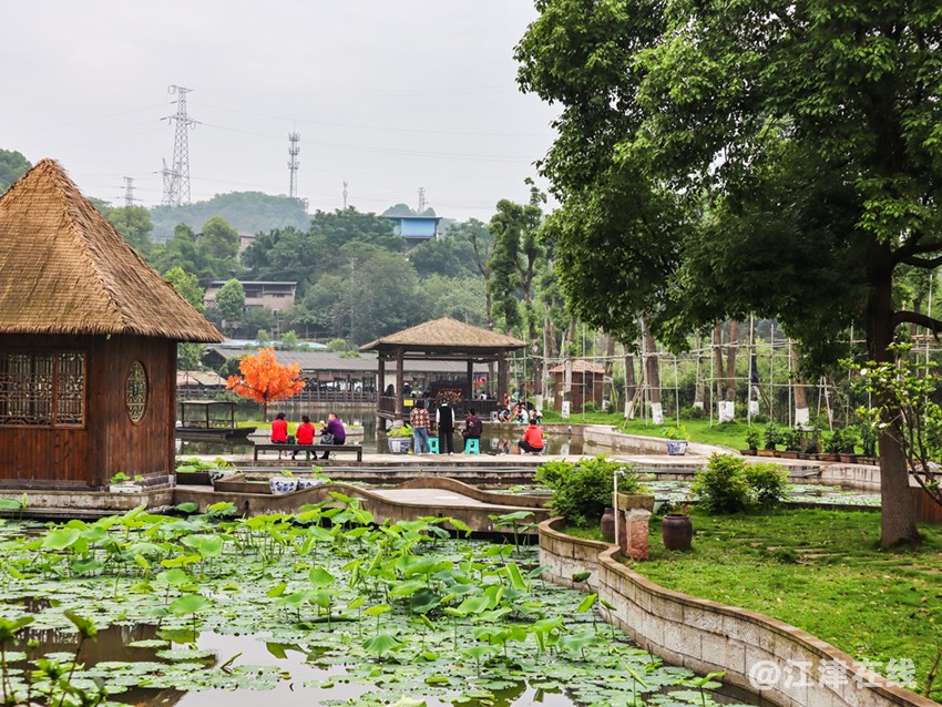 民宿 (10).jpg