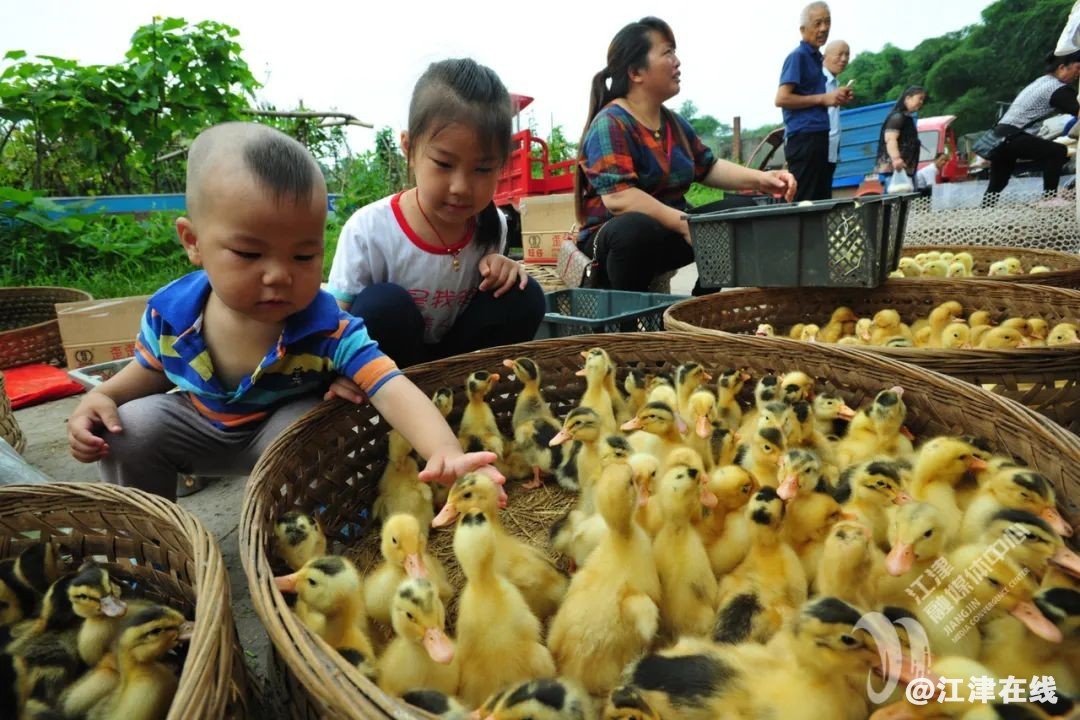 bc01999fd573391a4a077716de4f0fc2.jpg
