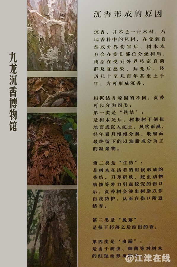 mmexport1653824378079副本副本.jpg