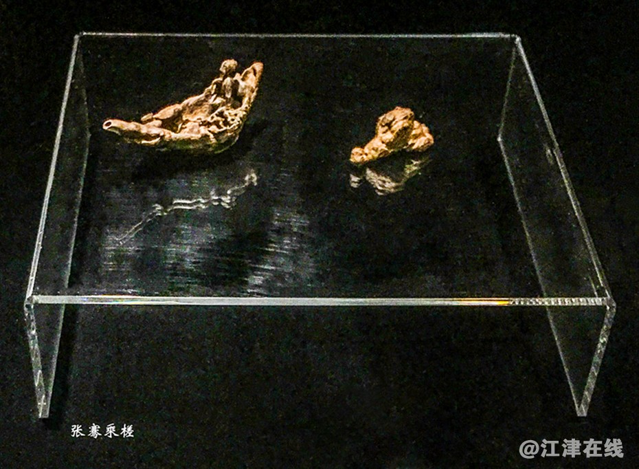 mmexport1653824395822副本副本.jpg