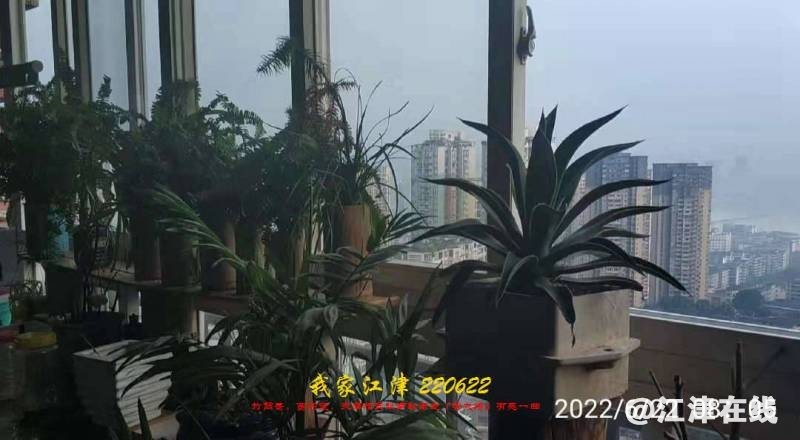 203509ffww0zilic7c4ad3.jpg.thumb.jpg