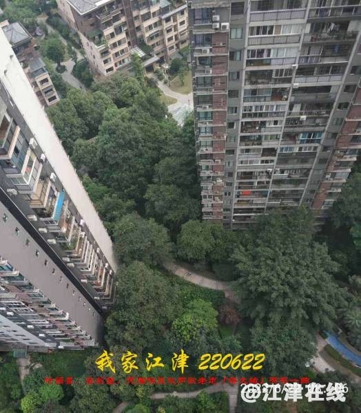 203505xga5g5kv5ggwbkgk.jpg.thumb.jpg