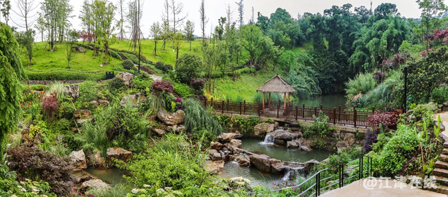 小山丘 (2).jpg