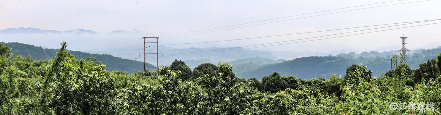 小山丘 (16).jpg
