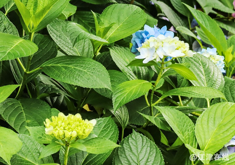一茶民宿 (3).jpg