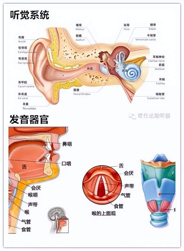 d8c2d46c47d54dc9a4309fb582f509d5~tplv-tt-shrink:640:0.jpg