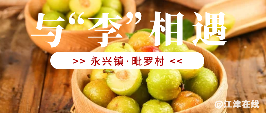 bb2617f56fcf05c579765b4bd387b739.png