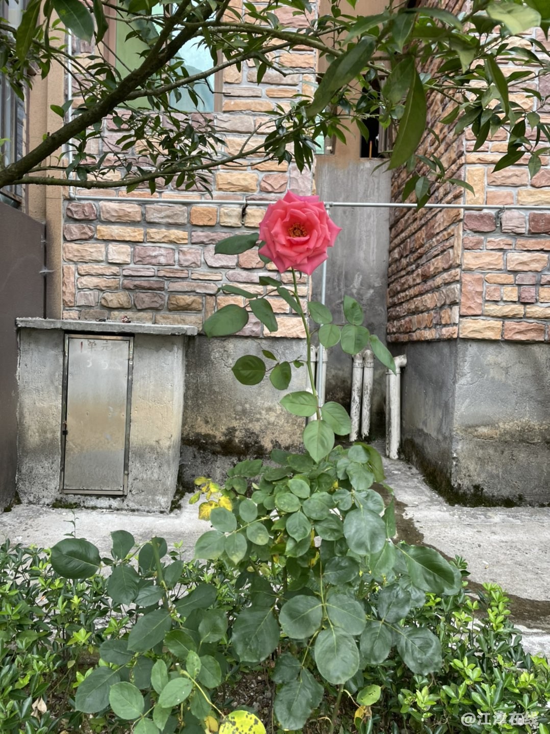 20220720143321front1_0_281628_FvAvrFy9g1ruv4AOPHlYVKraOP4s.jpg