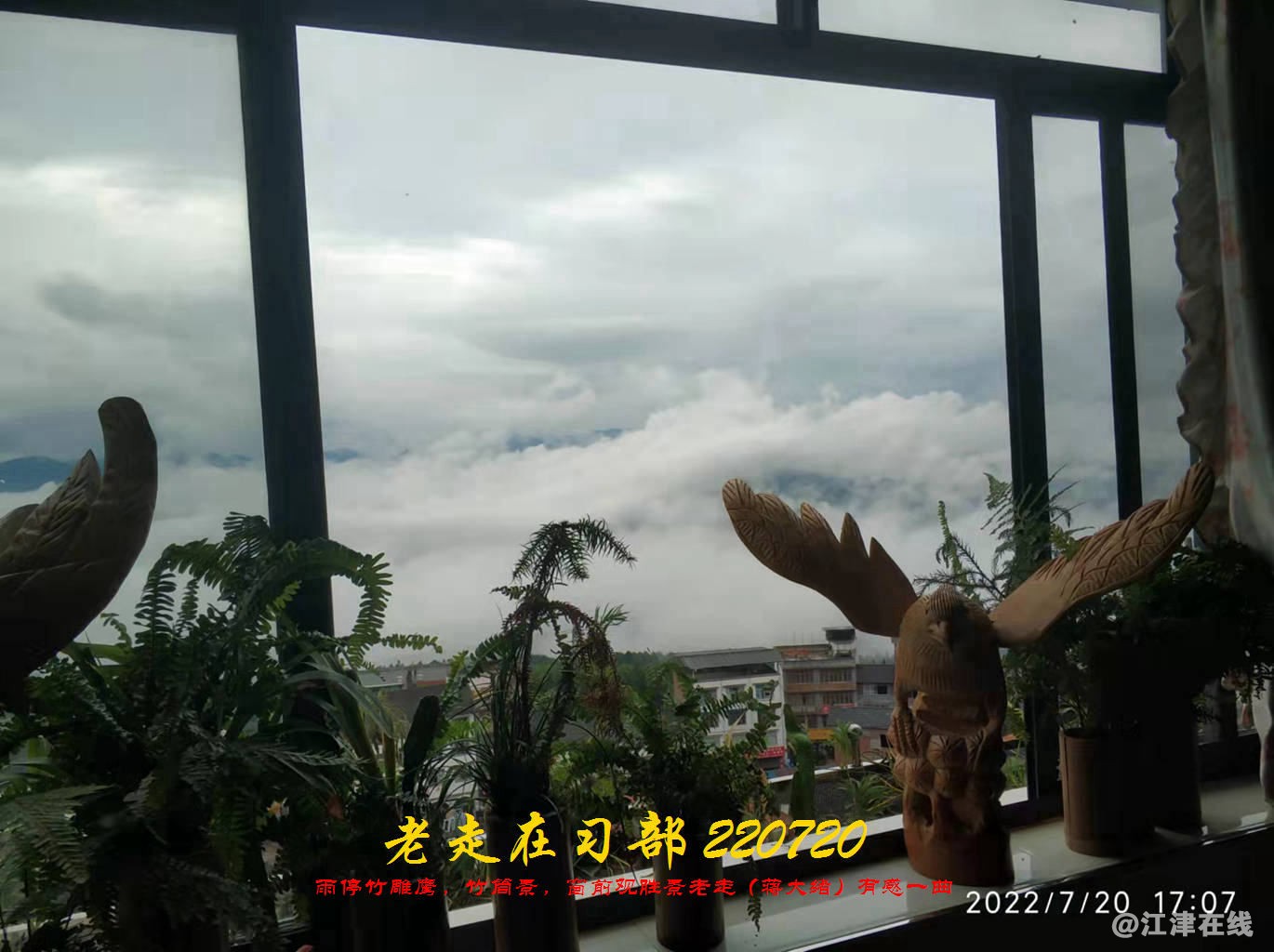 YZ 20220720 WBQ (11).jpg
