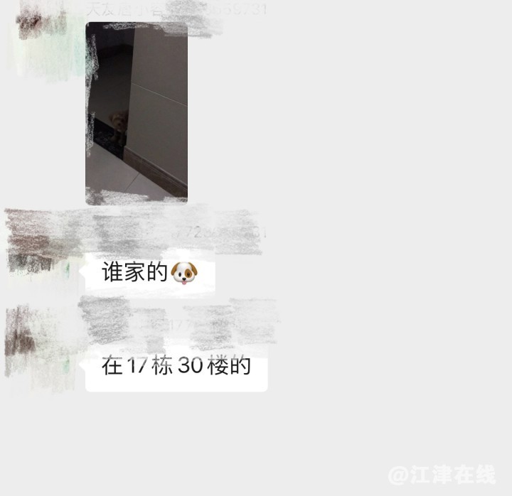 lADPJwY7TuiTS8_NBG7NBJI_1170_1134.jpg_720x720q90g.jpg