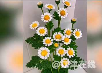 微信截图_20220727100248.png
