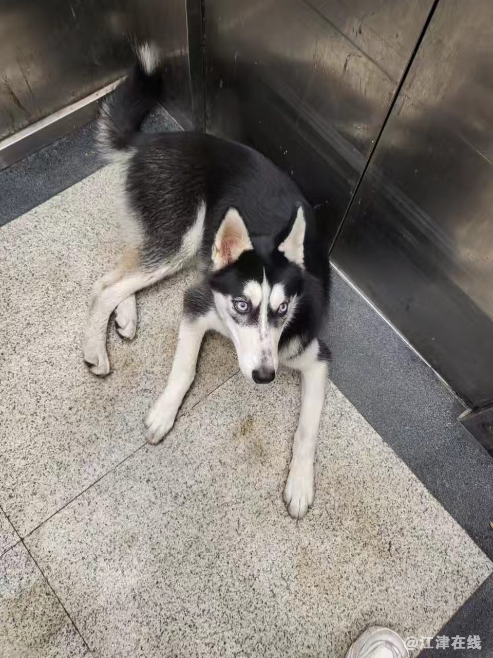 微信图片_20220804141252.jpg