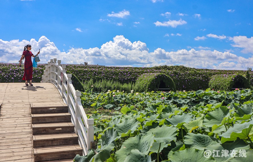 风景 (15-2).jpg