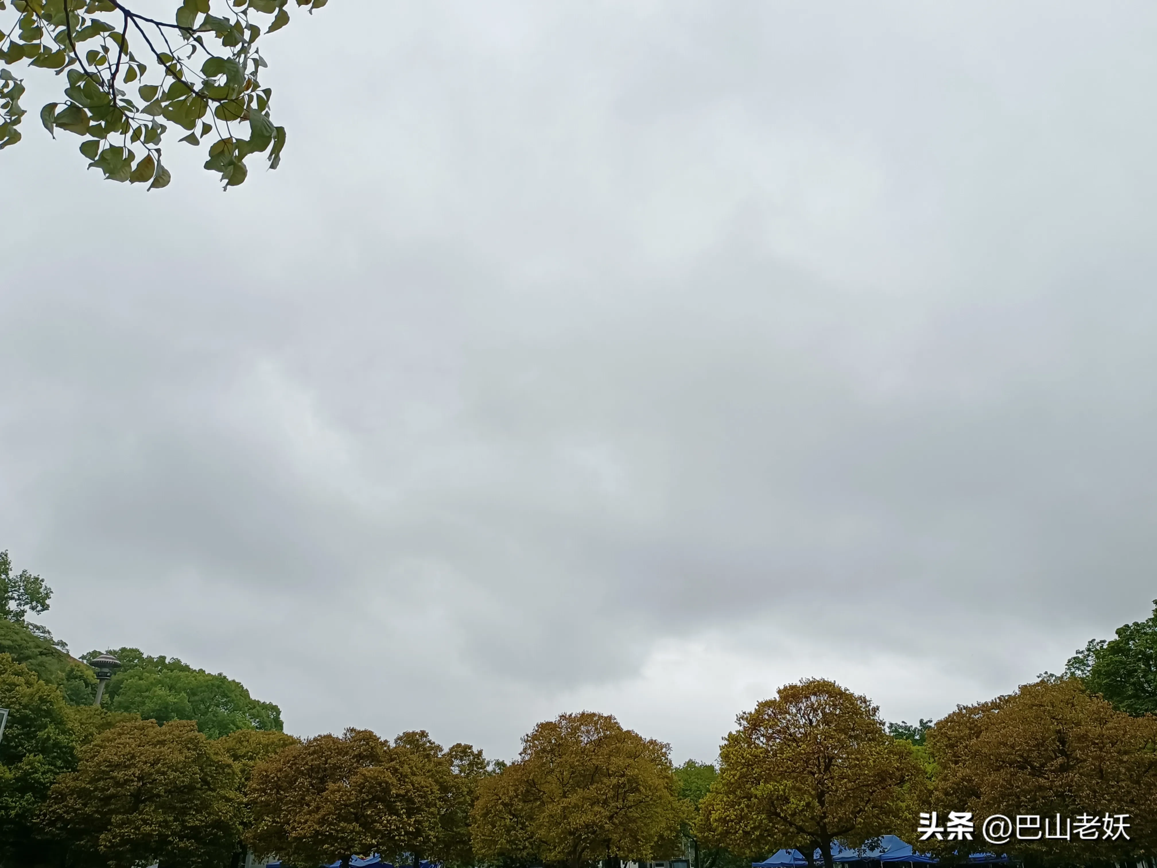 fe9b623d10474d9a91dbca91fec56c93~tplv-obj:4032:3024.jpg