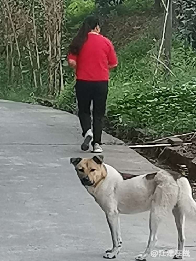 20220912081632front2_0_418174_FsWXUxG9CyJxn2t91OlImqpEt0WE.jpg