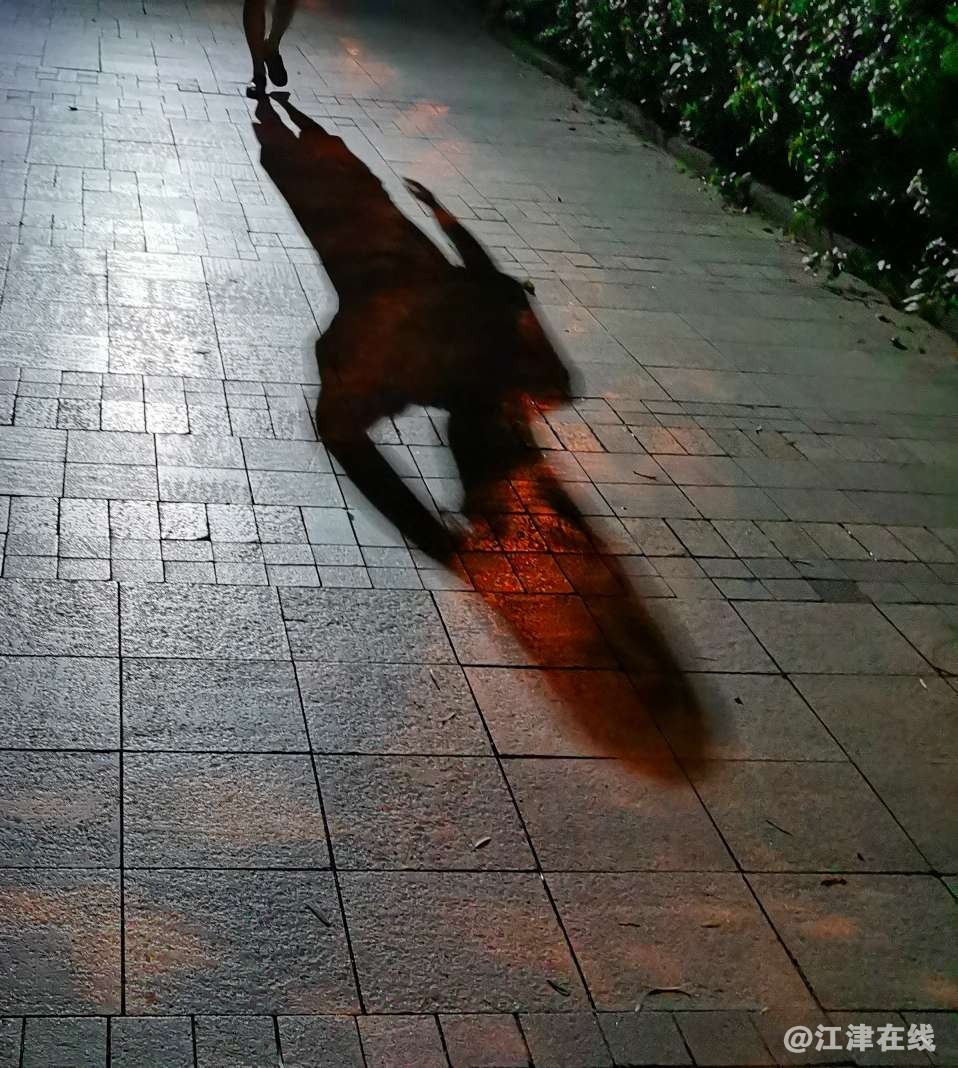 20220913174338front2_0_49039_FiXXNeI7ESErjxNcSi6VFFBEqT3O.jpg