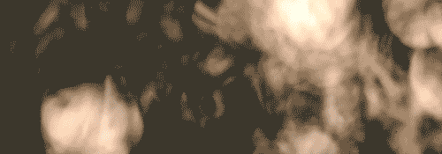 a14db70a5a122005a2031fdf7e29d035.gif