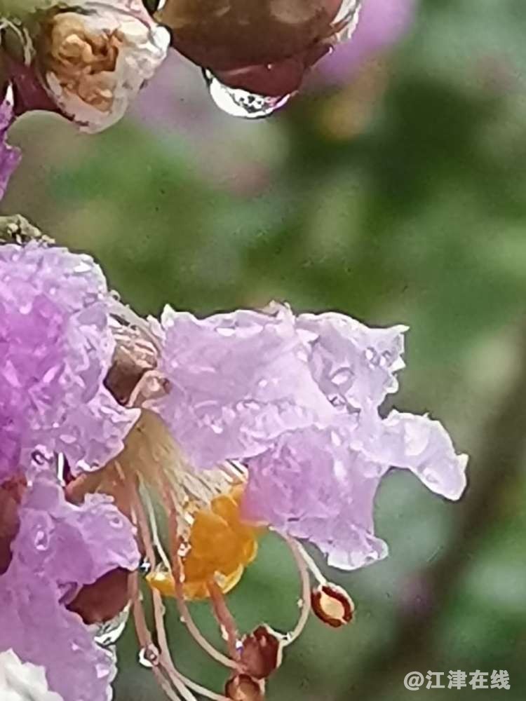 20220923060433front2_0_418174_FqOrmSPaHNTXylkA4vEaWVrSLTu9.jpg