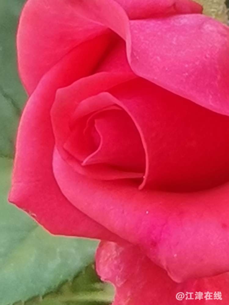 20220930141053front2_0_418174_FkNEd0g8s_r5D31R6PyKixmYWG5p.jpg