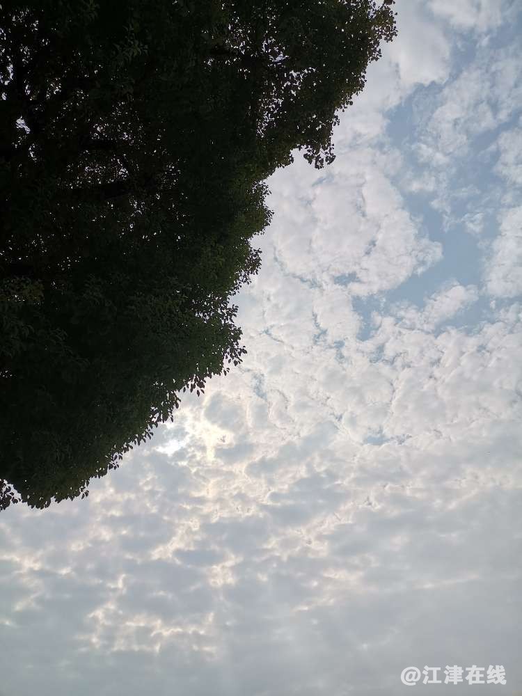 20221015150237front2_0_418174_Fm0Vjijwhqi2VNcPecdNYUxTy2TP.jpg