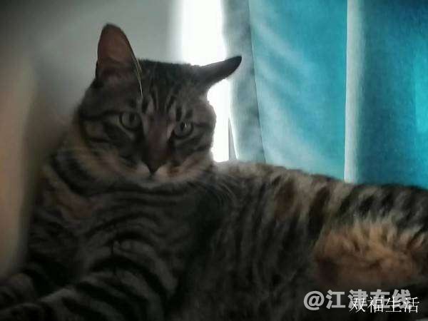 20221017112925front2_0_168084_FqXedBXU717lAB1_5q1fRa35W9b-.jpg
