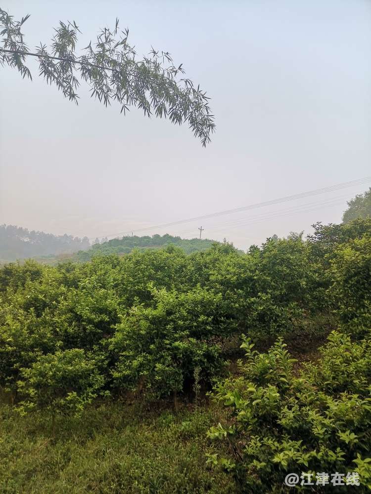 20221018075012front2_0_418174_Fs9lPK5IFJFXO3UTp5aKLx44Stf5.jpg
