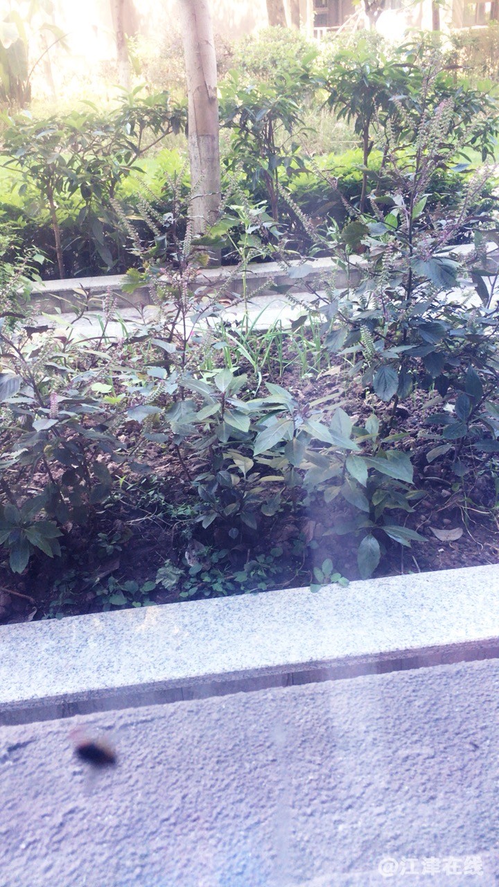 20221019140101front1_0_420898_Fo_WyM8htYOqC6cpq2vTQrPF4sZe.jpg