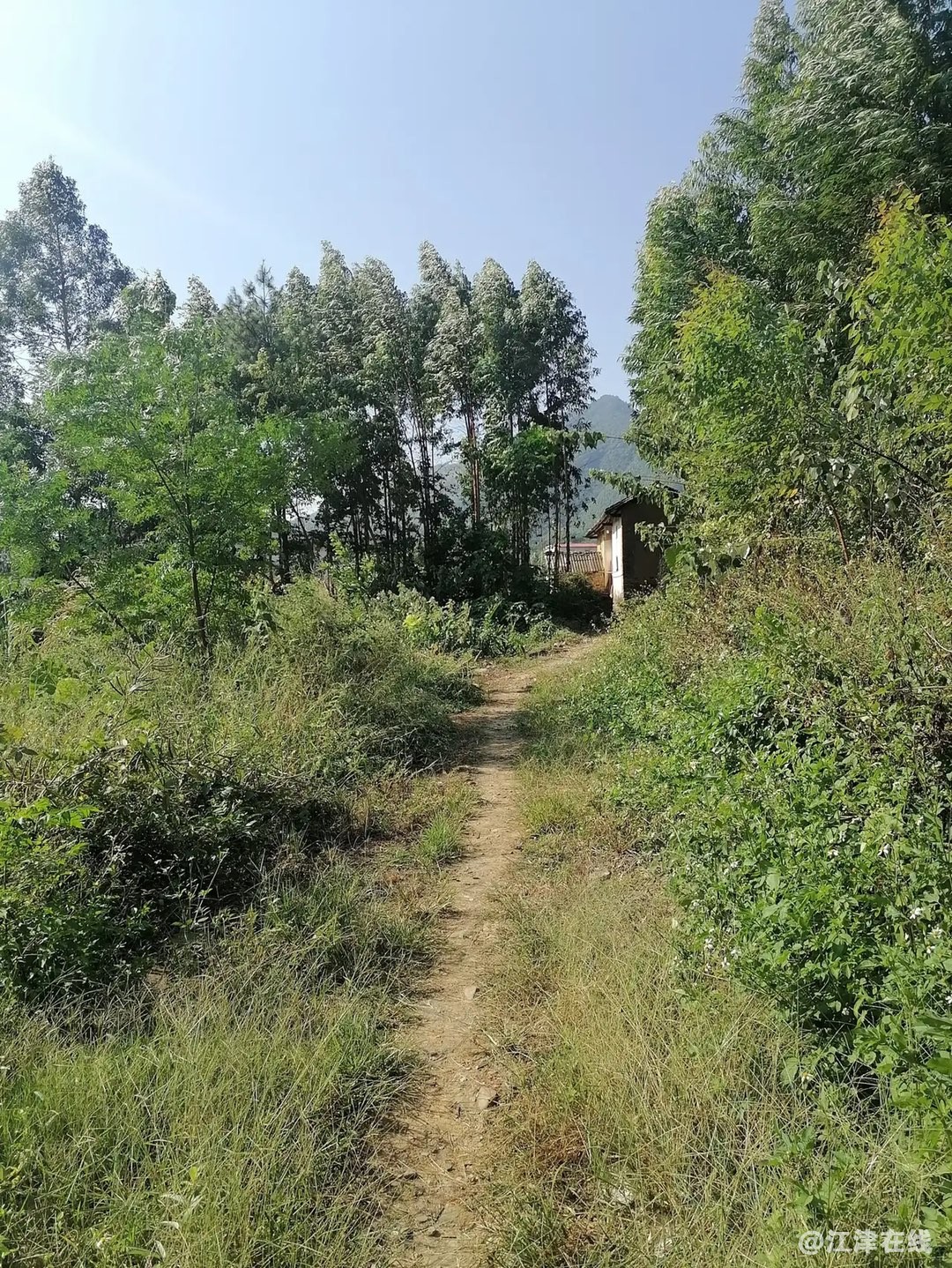 20221022190823front1_0_281628_FlZBu5wE4yUMJiD2axWWWy6eJLRL.jpg