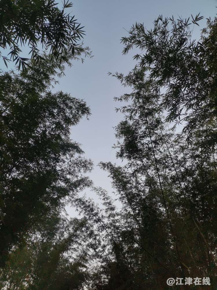 20221023061104front2_0_418174_FqHyJlkAZEOpk6LWWSQ7j-LCXLV_.jpg