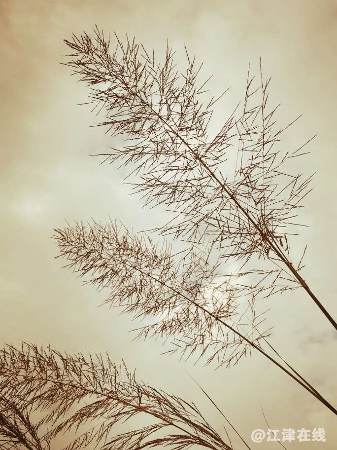 20221028232034front2_0_49039_Fq7EPkGZ3A0slooBV5f5uW-iJk2_.jpg