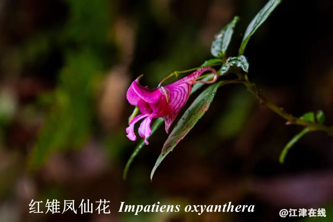 bbb92c324c04d3a6eab5b26b05ac177e.jpg
