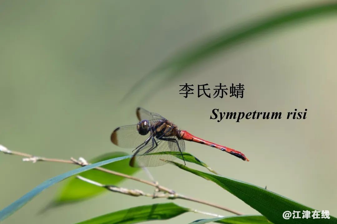 396228cdf648a7ad50488c0e99457683.jpg